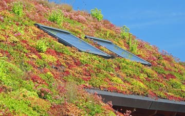 Lower Machen living roof systems